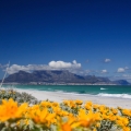 Surf in Cape Town - nová zimní kitesurfing destinace!